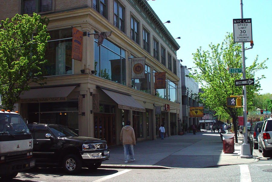 harlem_streets.070505-136.jpg