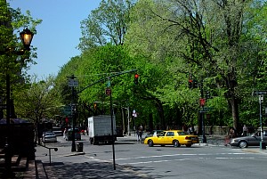 harlem_streets.070505-004.jpg