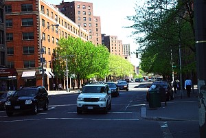 harlem_streets.070505-010.jpg