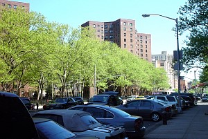 harlem_streets.070505-019.jpg