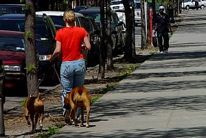 harlem_streets.070505-070.jpg