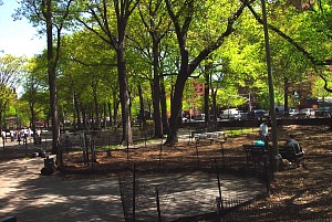 harlem_streets.070505-074.jpg