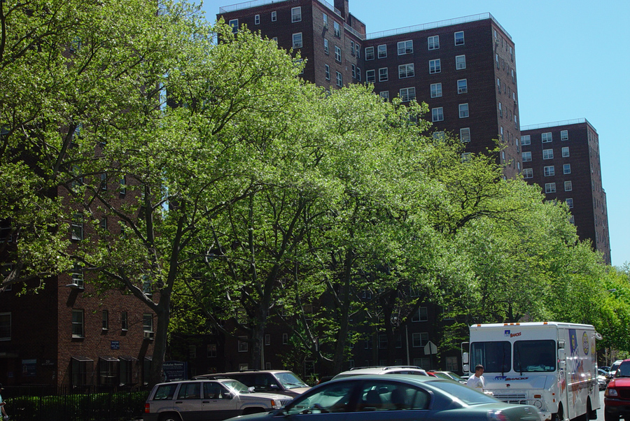 harlem_streets.070508-016.jpg