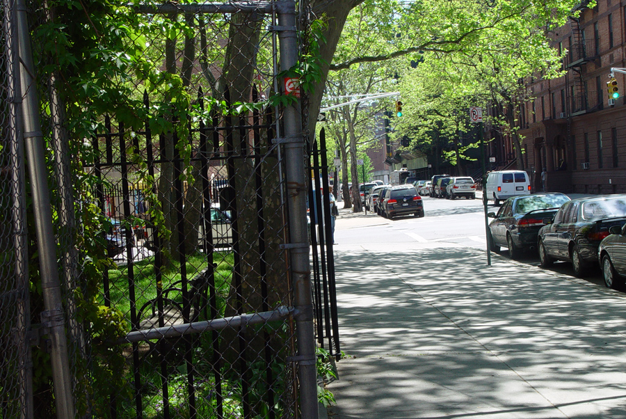 harlem_streets.070508-139.jpg