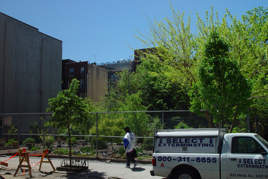 harlem_streets.070508-169.jpg