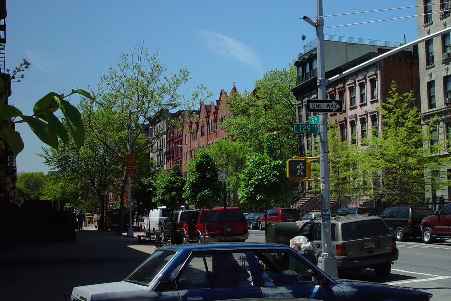 harlem_streets.070508-172.jpg