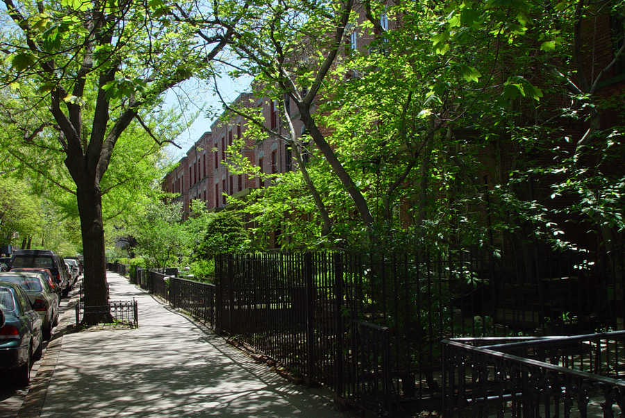 harlem_streets.070508-196.jpg