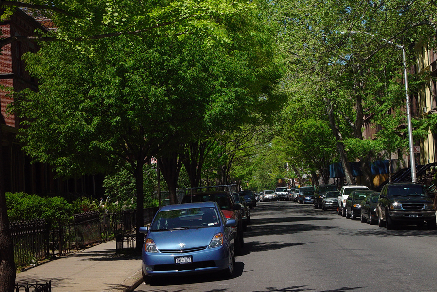 harlem_streets.070508-220.jpg