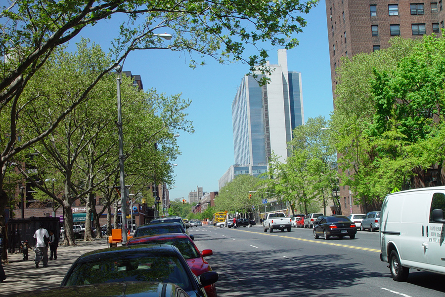 harlem_streets.070508-250.jpg