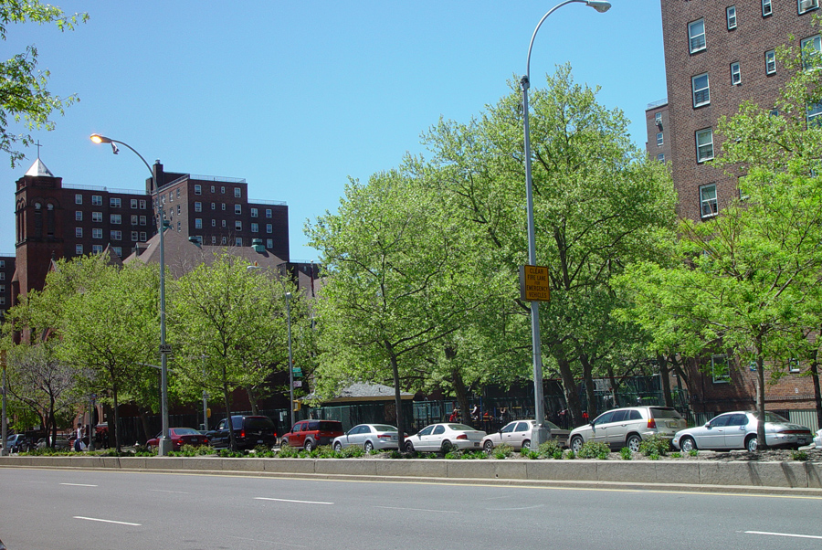 harlem_streets.070508-298.jpg