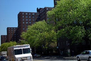 harlem_streets.070508-019.jpg