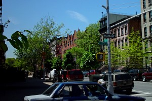 harlem_streets.070508-172.jpg