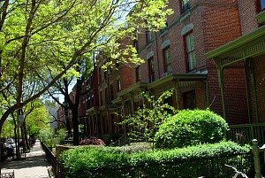 harlem_streets.070508-199.jpg