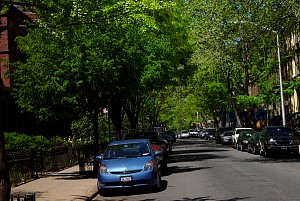 harlem_streets.070508-220.jpg