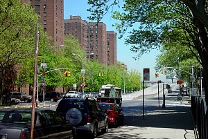 harlem_streets.070508-241.jpg