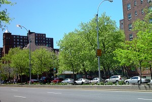 harlem_streets.070508-298.jpg