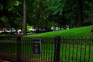 harlem_streets.070614-083.jpg