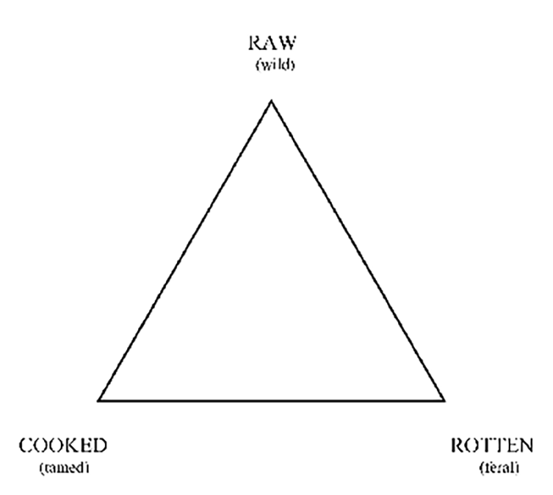 culture triangle
