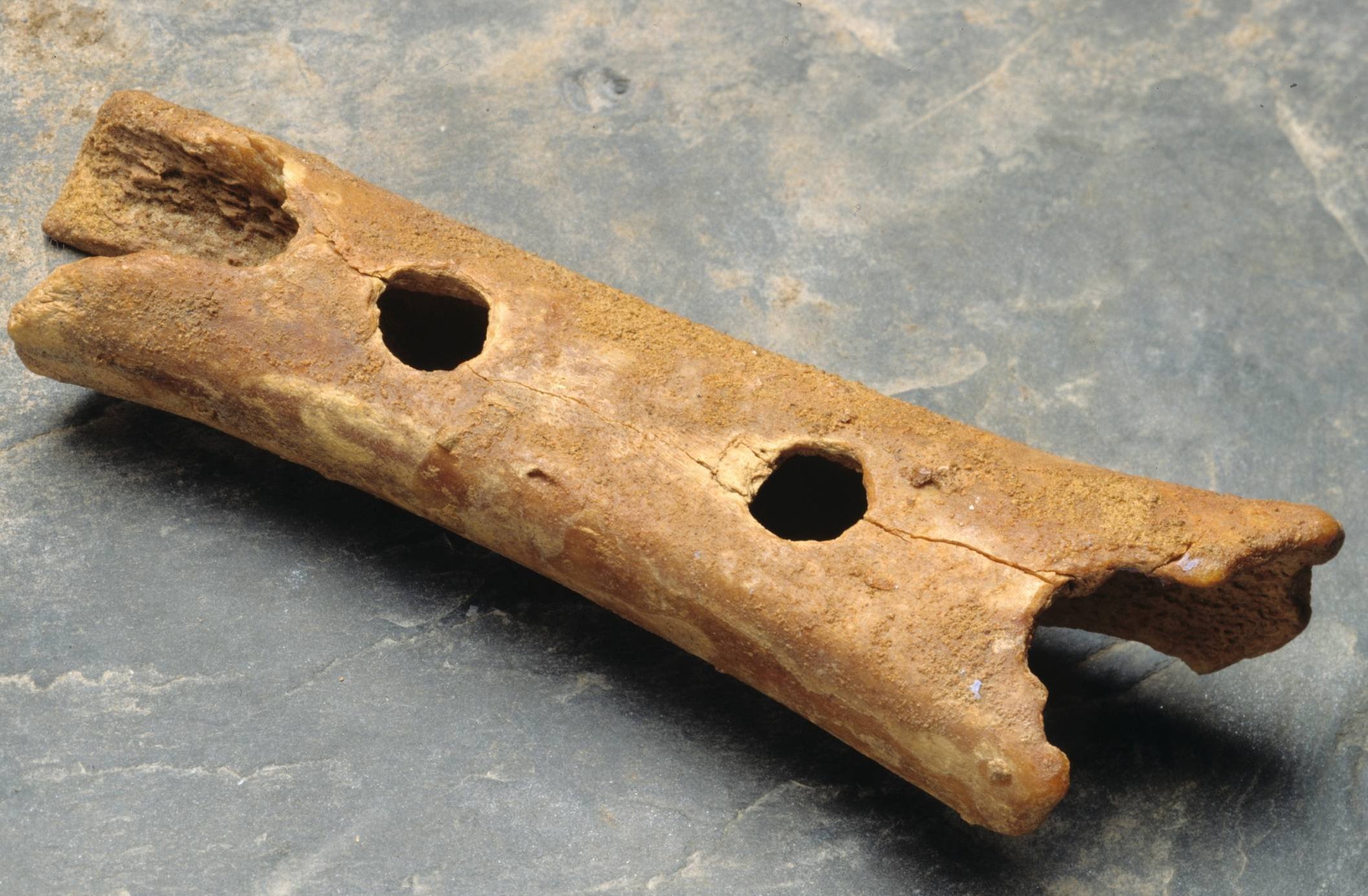 oldest flute